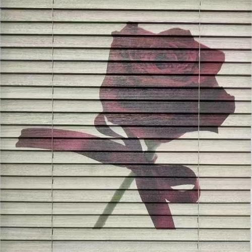 ˿ͩľҶ